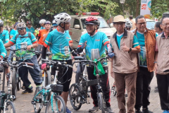 gowes-3-1