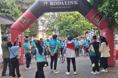 gowes-4-2